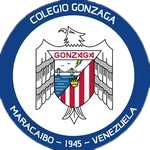 Aula Virtual Gonzaga